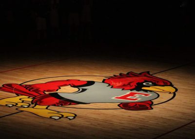 Cardinal Logo on gym floor