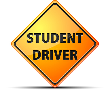 Driver’s Education Information